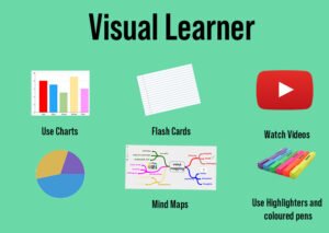 Fig 4 - Visual Learner (2021)